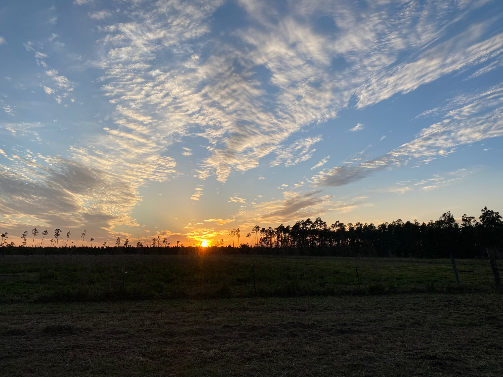 Losing My Job and Finding Purpose